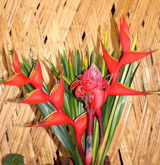 Albergue Casas Viejas | Minca | Magdalena | Colombia 9