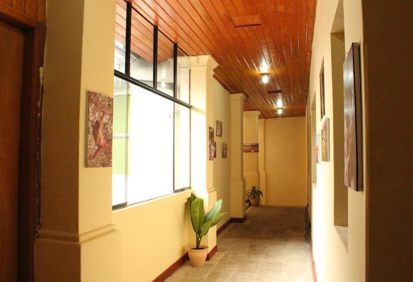 Bed and Breakfast Weill`s Amazon Backpacker Iquitos