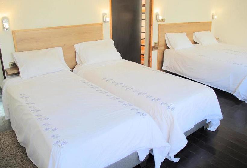 Edelweiss Bed And Breakfast Boutique | Santiago de Chile | Santiago | Chile 13