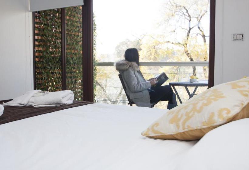 Edelweiss Bed And Breakfast Boutique | Santiago de Chile | Santiago | Chile 20