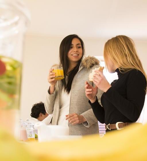 Edelweiss Bed And Breakfast Boutique | Santiago de Chile | Santiago | Chile 8