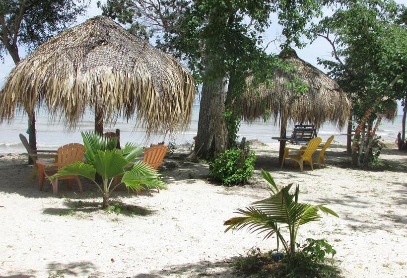 Media Luna Hostel Barú | Barú | Bolivar | Colombia 15