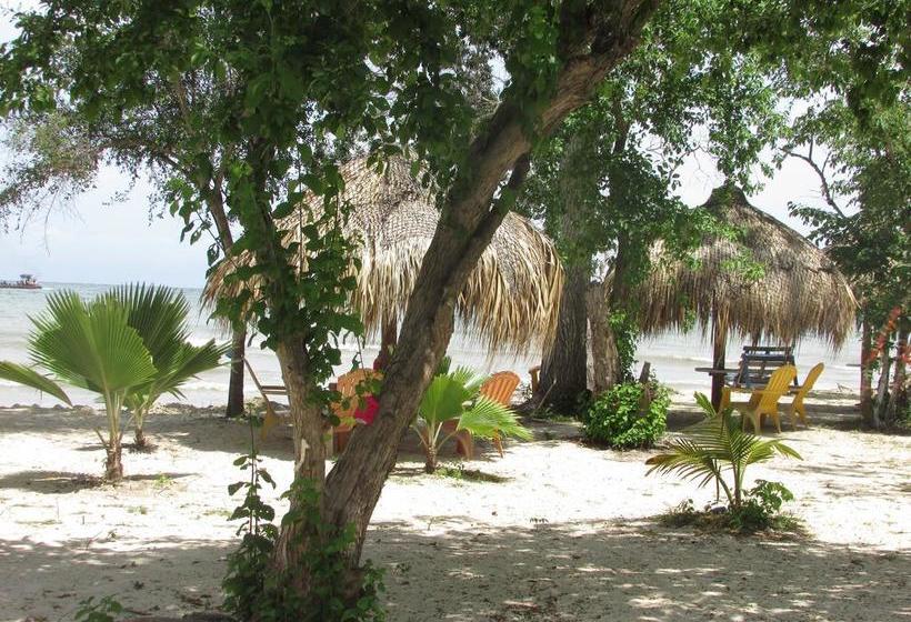 Media Luna Hostel Barú | Barú | Bolivar | Colombia 16