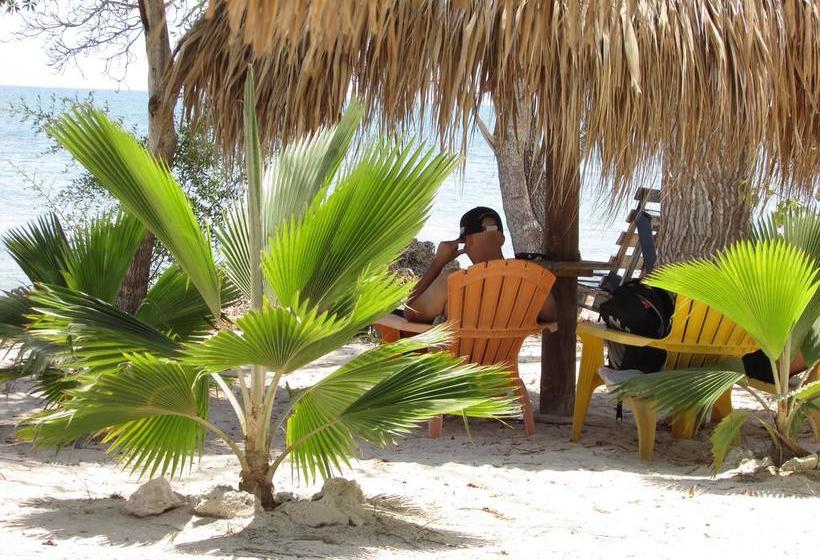 Media Luna Hostel Barú | Barú | Bolivar | Colombia 17