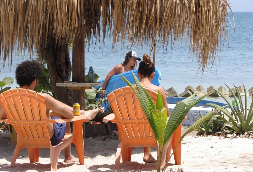 Media Luna Hostel Barú | Barú | Bolivar | Colombia 18