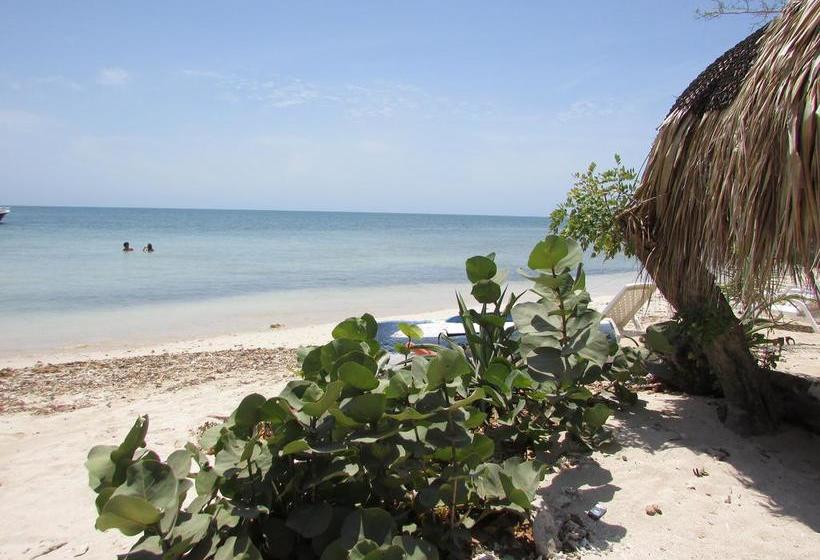 Media Luna Hostel Barú | Barú | Bolivar | Colombia 20