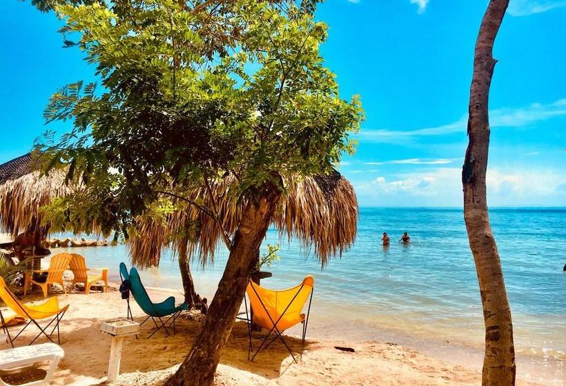 Media Luna Hostel Barú | Barú | Bolivar | Colombia 3