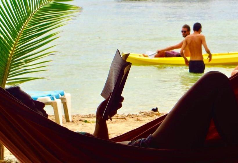 Media Luna Hostel Barú | Barú | Bolivar | Colombia 5