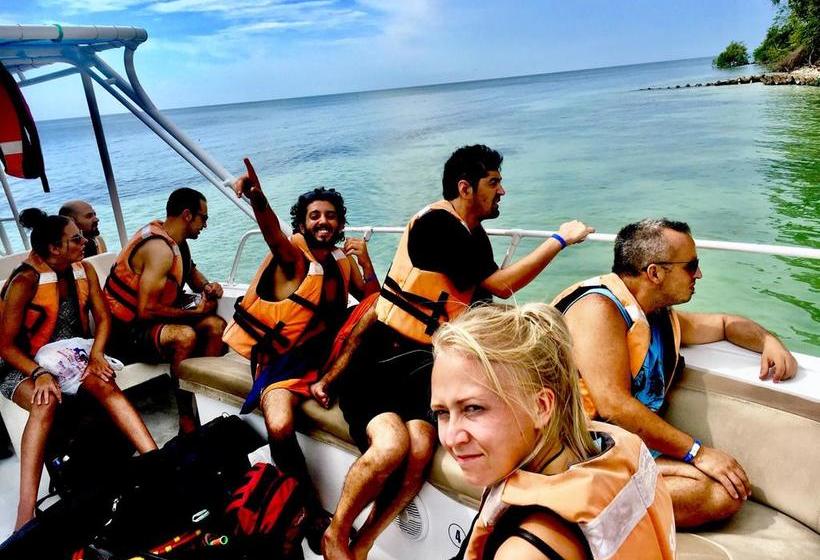 Media Luna Hostel Barú | Barú | Bolivar | Colombia 6