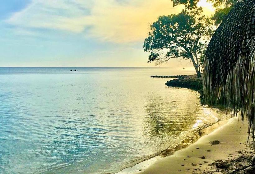 Media Luna Hostel Barú | Barú | Bolivar | Colombia 7