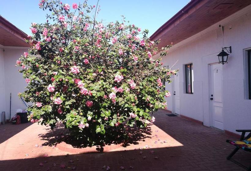 Hotel Chagual | La Serena | Coquimbo | Chile 15