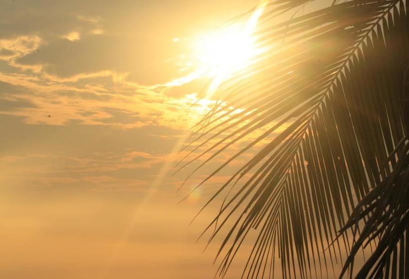 Bed and Breakfast Chawpi Lodge | Guayaquil | Guayas | Ecuador 8