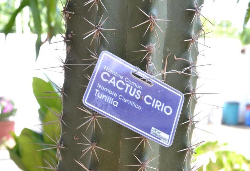 Hotel Villa Paraiso | Villavieja | Huila | Colombia 19