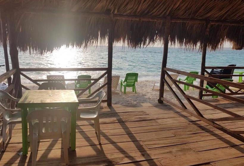 Hotel Alejandro Express | Barú | Bolivar | Colombia