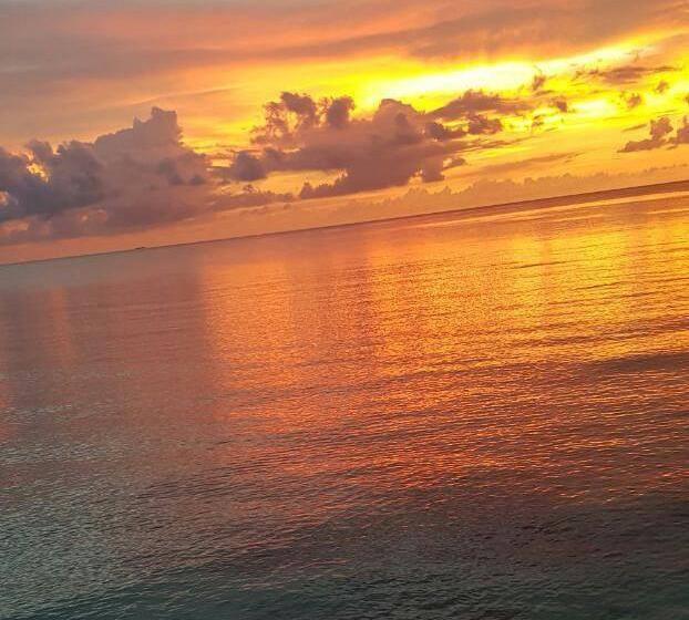 Hotel Alejandro Express | Barú | Bolivar | Colombia 1