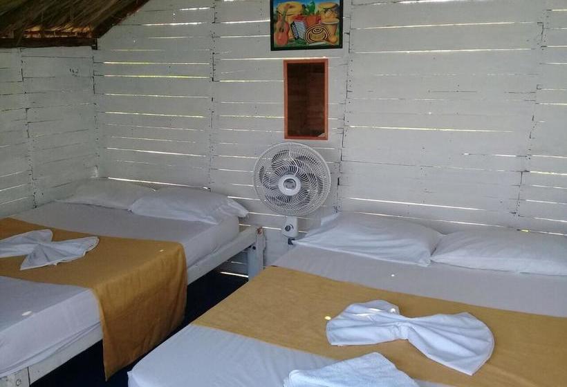 Hotel Alejandro Express | Barú | Bolivar | Colombia 10
