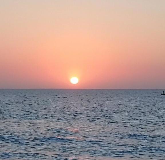 Hotel Alejandro Express | Barú | Bolivar | Colombia 13