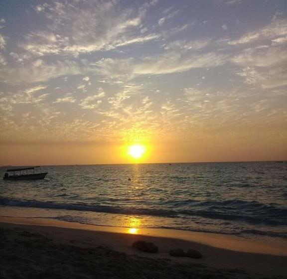 Hotel Alejandro Express | Barú | Bolivar | Colombia 14