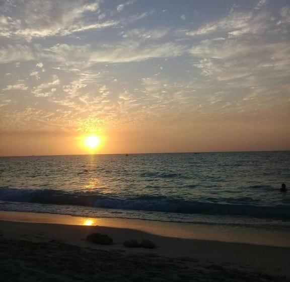 Hotel Alejandro Express | Barú | Bolivar | Colombia 15