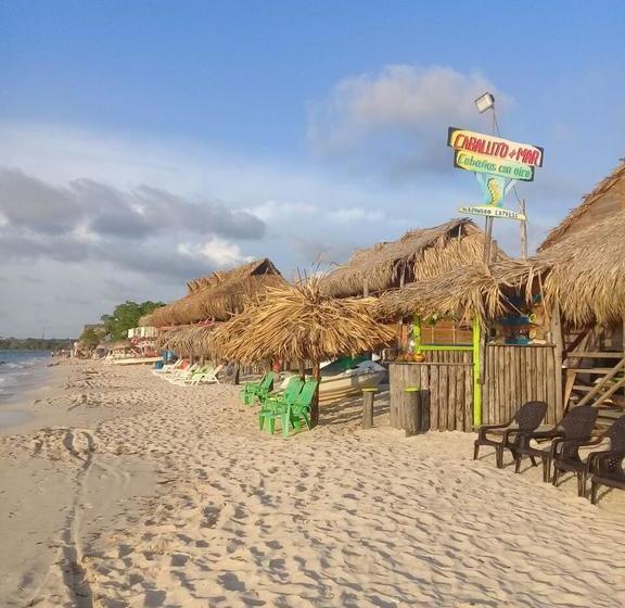 Hotel Alejandro Express | Barú | Bolivar | Colombia 16