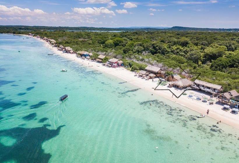 Hotel Alejandro Express | Barú | Bolivar | Colombia 20