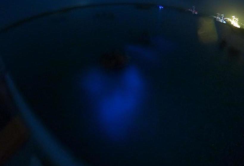 Hotel Alejandro Express | Barú | Bolivar | Colombia 9