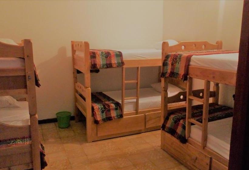 Hotel Tikay Café Hostal | Cali | Valle del Cauca | Colombia 10