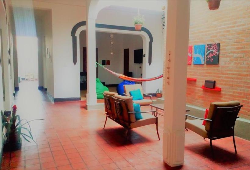 Hotel Tikay Café Hostal | Cali | Valle del Cauca | Colombia 18