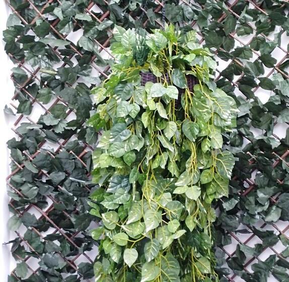 Hotel Jardín 38 | San Juan de Pasto | Nariño | Colombia 12