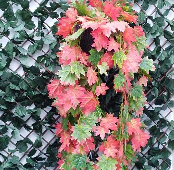 Hotel Jardín 38 | San Juan de Pasto | Nariño | Colombia 15