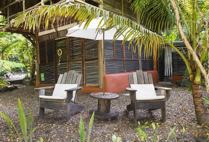 Hotel Playa Scondida | Barú | Bolivar | Kolumbien 10