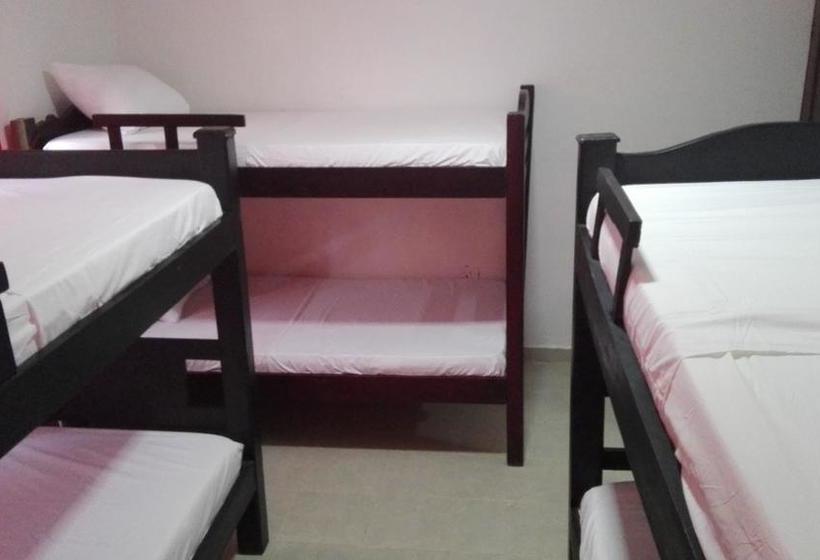 Barú Hostel | Barú | Bolivar | Colombia 13