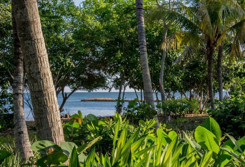 Bed and Breakfast Playa Manglares Isla Baru | Barú | Bolivar | Colombia 10