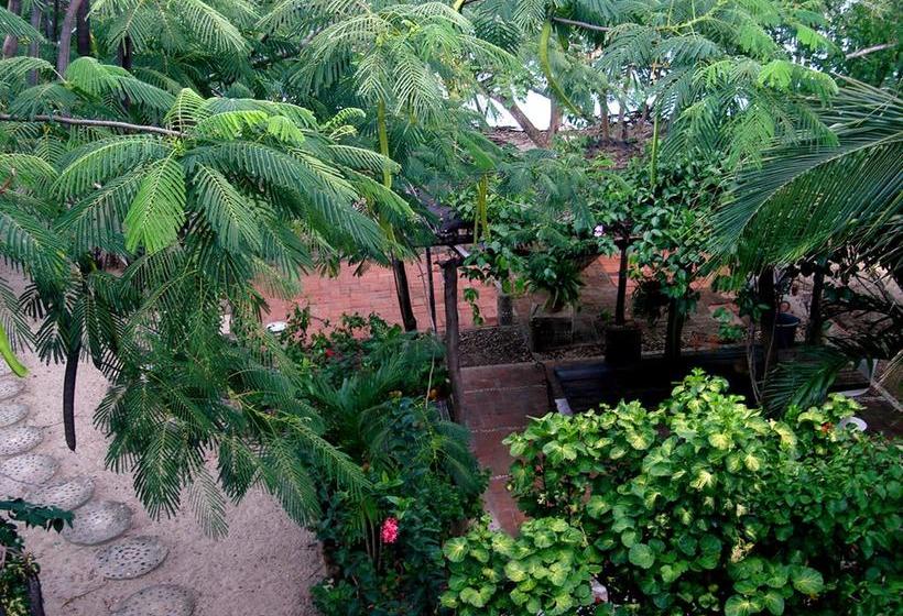 Bed and Breakfast Playa Manglares Isla Baru | Barú | Bolivar | Colombia 11