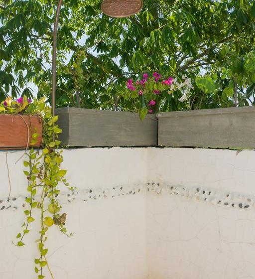 Bed and Breakfast Playa Manglares Isla Baru | Barú | Bolivar | Colombia 17