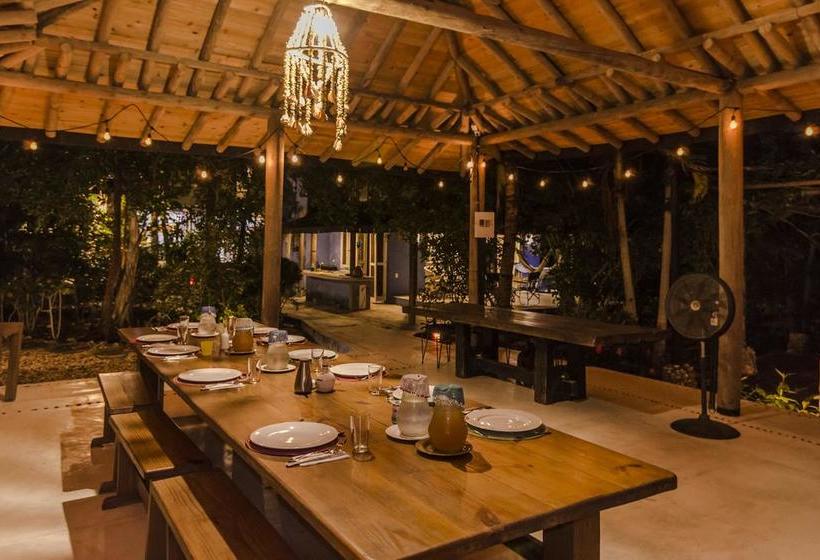 Bed and Breakfast Playa Manglares Isla Baru | Barú | Bolivar | Colombia 5