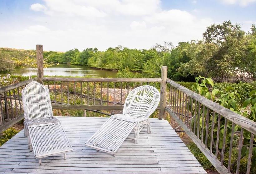 Bed and Breakfast Playa Manglares Isla Baru | Barú | Bolivar | Colombia 7