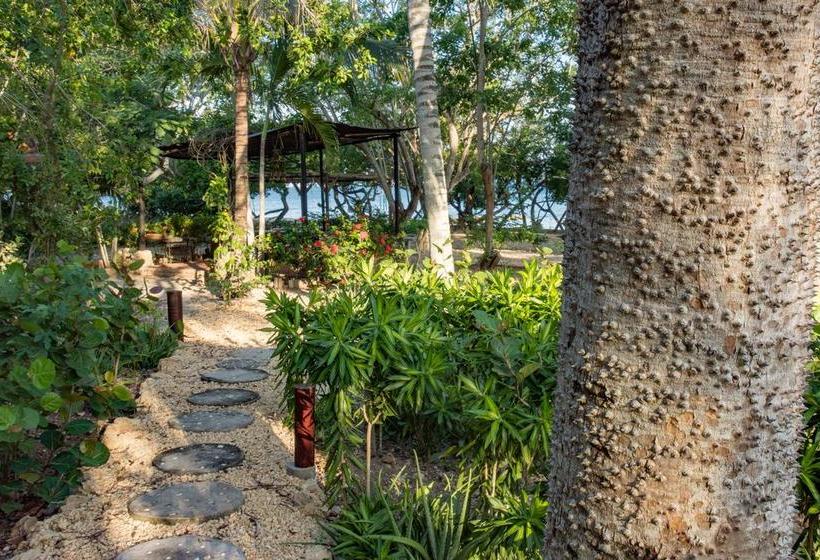 Bed and Breakfast Playa Manglares Isla Baru | Barú | Bolivar | Colombia 9