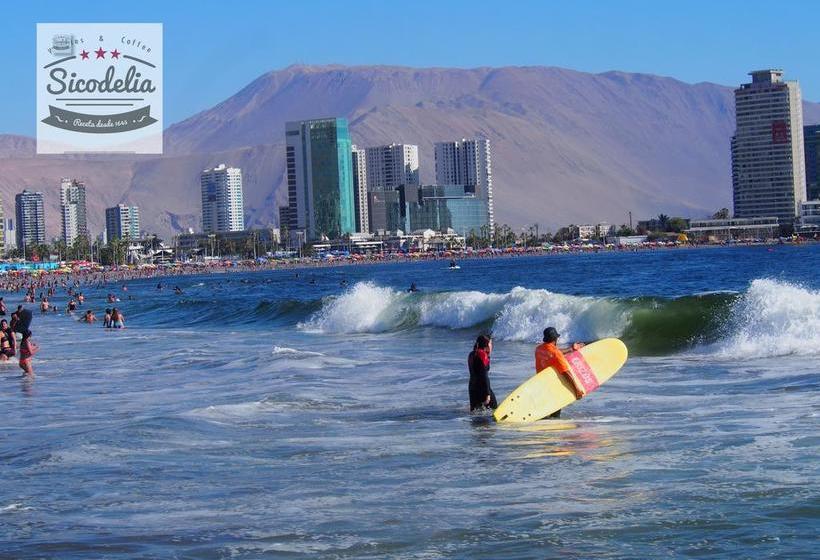 Sicodelia Alojamiento B&b | Iquique | Tarapaca | Chile 10