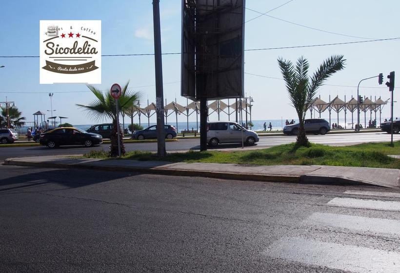 Sicodelia Alojamiento B&b | Iquique | Tarapaca | Chile 6