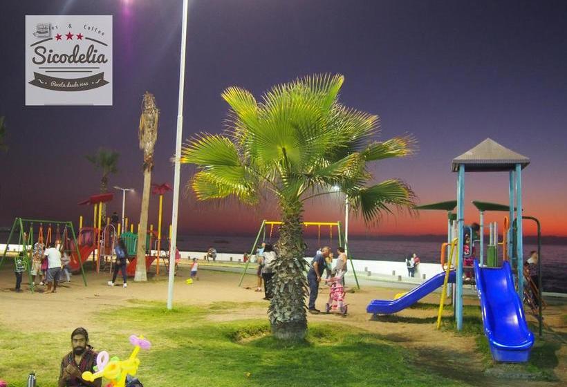 Sicodelia Alojamiento B&b | Iquique | Tarapaca | Chile 7