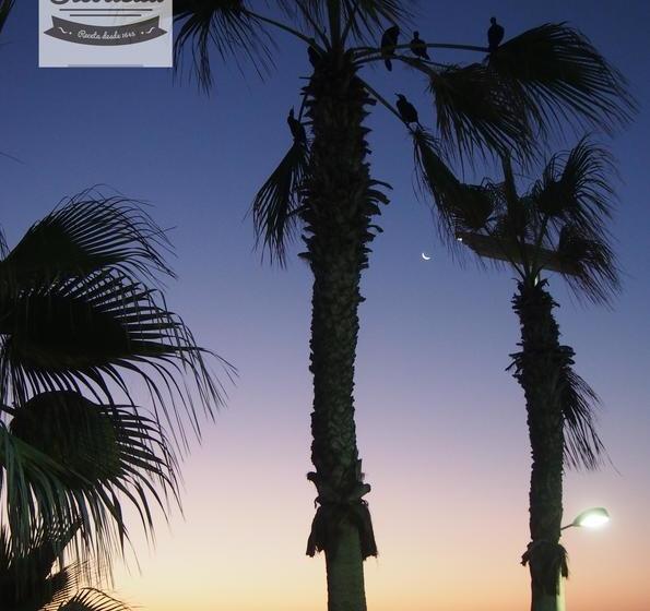 Sicodelia Alojamiento B&b | Iquique | Tarapaca | Chile 8