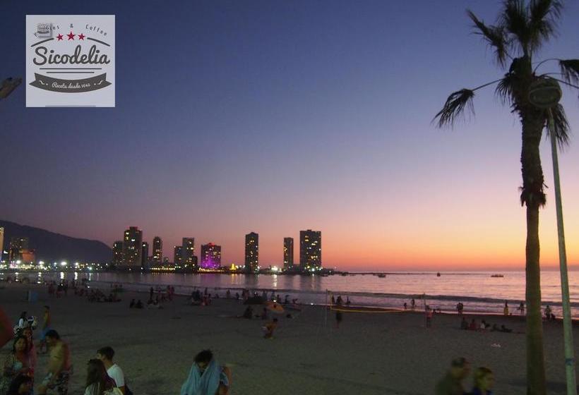 Sicodelia Alojamiento B&b | Iquique | Tarapaca | Chile 9