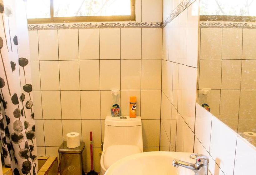 Albergue Japanese Residence | Valparaíso | Valparaiso | Chile 5