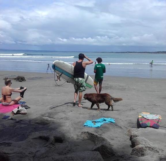 Hotel Cabañas Ecologicas Mompbeach | Esmeraldas | Esmeraldas | Ecuador 8