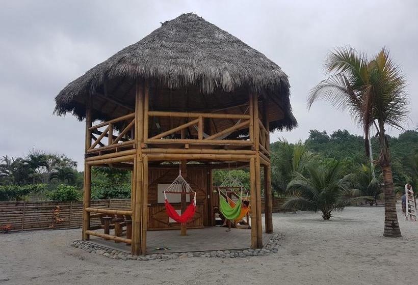 Hotel Casa Gaia Mompiche | Esmeraldas | Esmeraldas | Ecuador 15