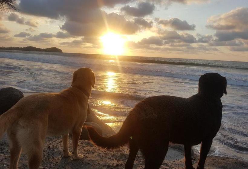 Hotel Casa Gaia Mompiche | Esmeraldas | Esmeraldas | Ecuador 18