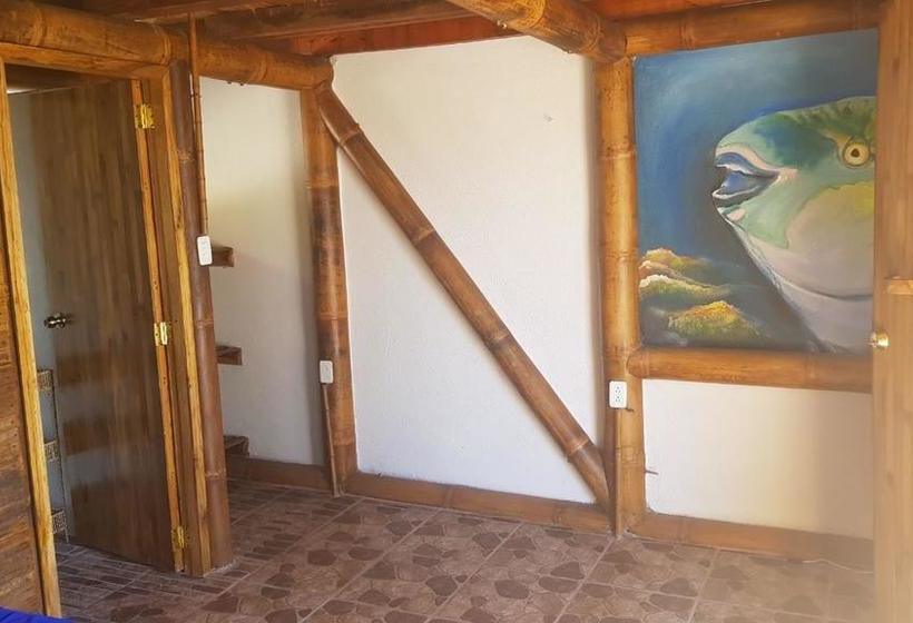 Hotel Casa Gaia Mompiche | Esmeraldas | Esmeraldas | Ecuador 19