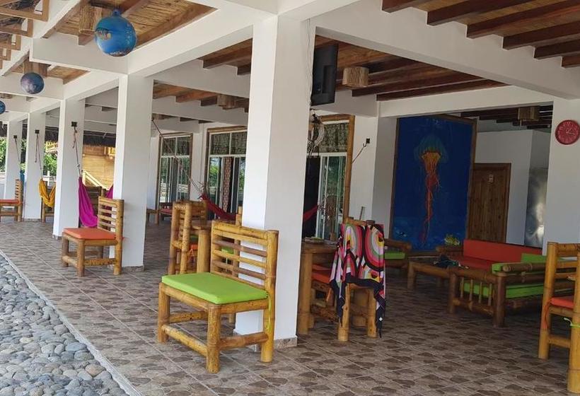 Hotel Casa Gaia Mompiche | Esmeraldas | Esmeraldas | Ecuador 8