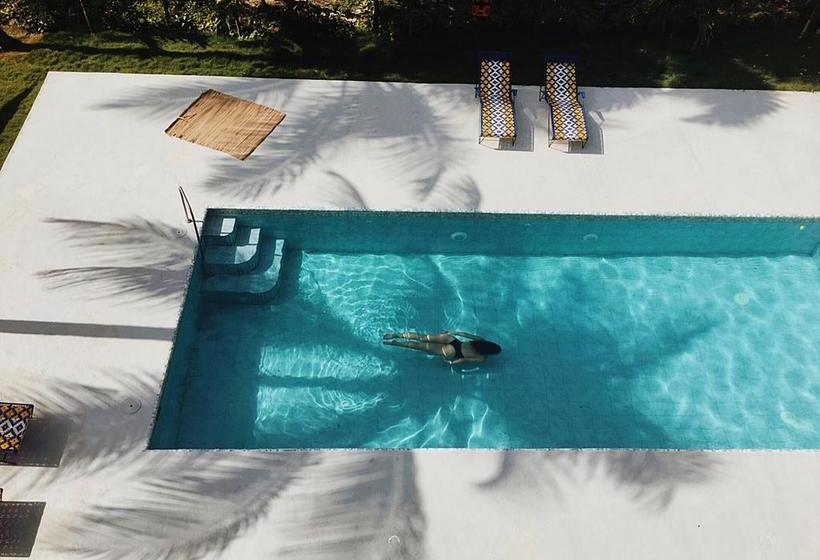 Albergue Casa Del Pavo Real Palomino La Guajira